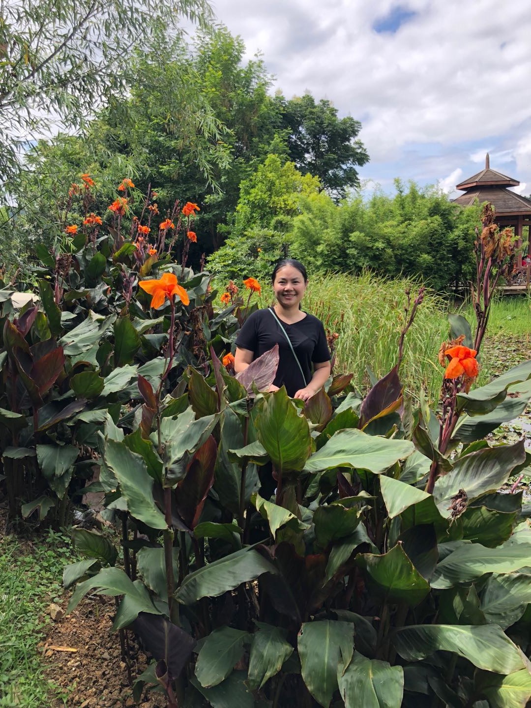 0638太阳集团官网